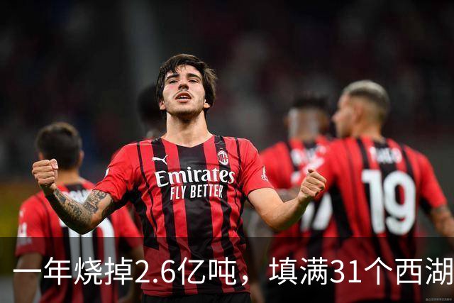 一年烧掉2.6亿吨，填满31个西湖！中国的垃圾，不够烧了？